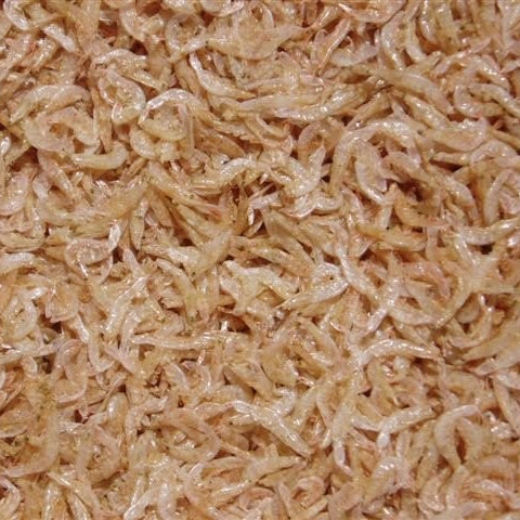 Minikreeftjes (shrimps) 15kg