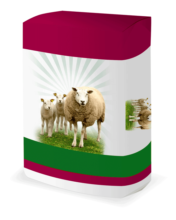 Schapenbrok Lacto | 20kg